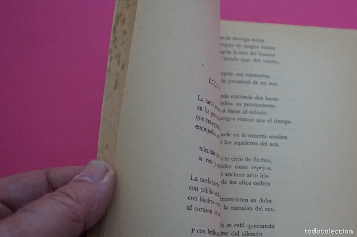 Libros: AMF-15E/ ESPINAS EN EL BARRO - DIMAS KIEW / ESCELICER - Foto 5
