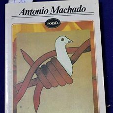 Libros: ANTONIO MACHADO-POESIA/MACHADO'S BEST POETRY (9789681501921). Lote 365286881