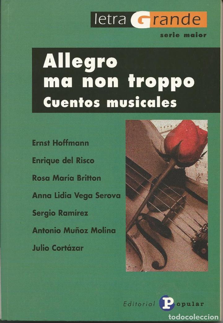 Libros: Allegro ma non tropp (cuentos musicales) - Ernst Hoffmann, Enrique del Risco� - Foto 1