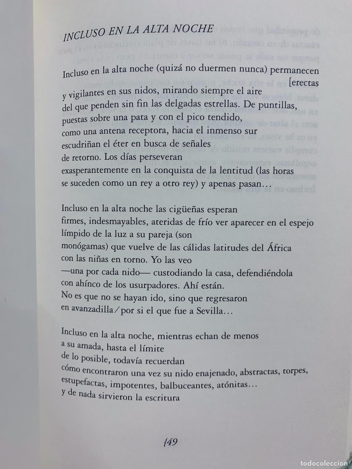 Libros: TEORIA DE LA LUZ - EDUARDO FRAILE VALLES - Foto 3