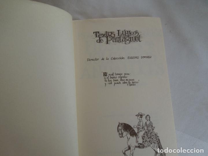 Libros: FIESTAS Y JOLGORIOS ANDALUCES - ISABEL GONZALEZ - PENTHALON -1981 - Foto 3