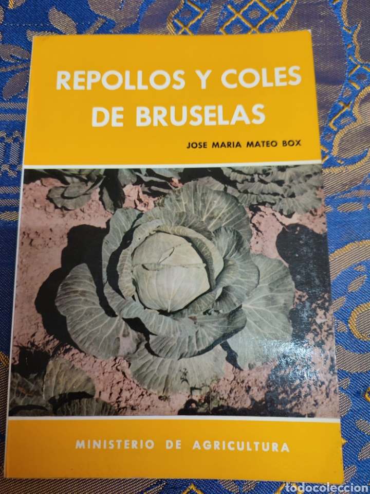 Libros: Repollos y coles de Bruselas Jos&eacute; Mar&iacute;a Mateo - Foto 2
