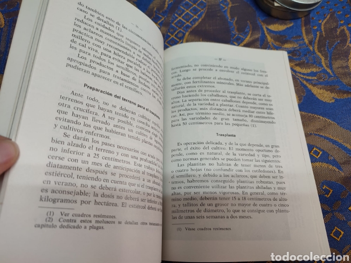 Libros: Repollos y coles de Bruselas Jos&eacute; Mar&iacute;a Mateo - Foto 3