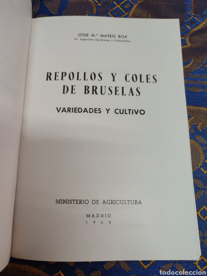Libros: Repollos y coles de Bruselas Jos&eacute; Mar&iacute;a Mateo - Foto 7