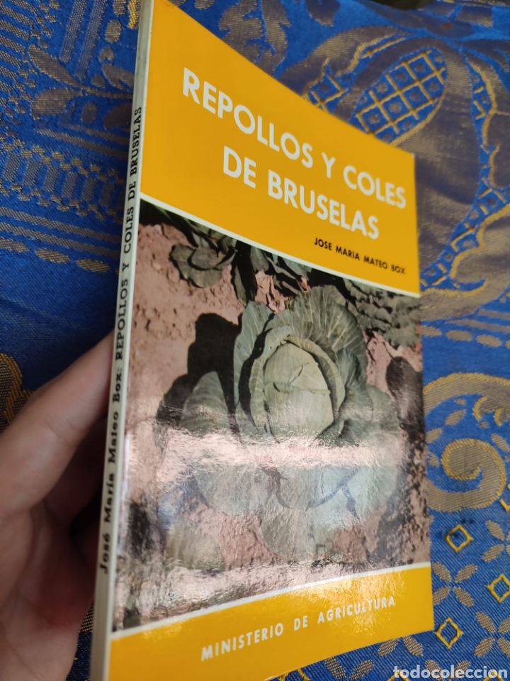 Libros: Repollos y coles de Bruselas Jos&eacute; Mar&iacute;a Mateo - Foto 1
