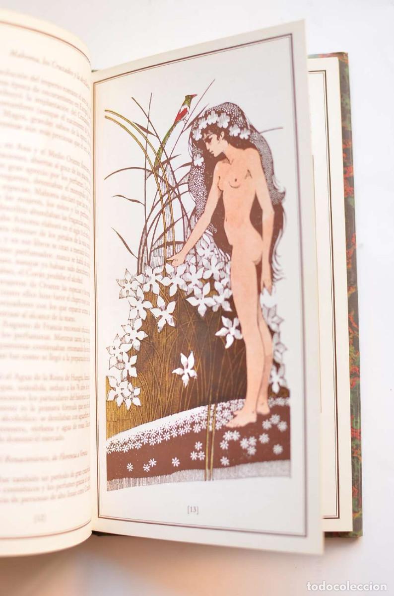 Libros: Dos gotas de perfume - LICHTENGERGER, Marianne - Foto 5