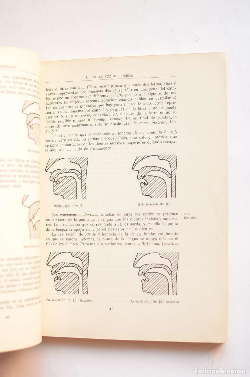 Libros: Gram&aacute;tica esencial del espa&ntilde;ol. Introducci&oacute;n al estudio de la lengua - SECO, Manuel - Foto 3