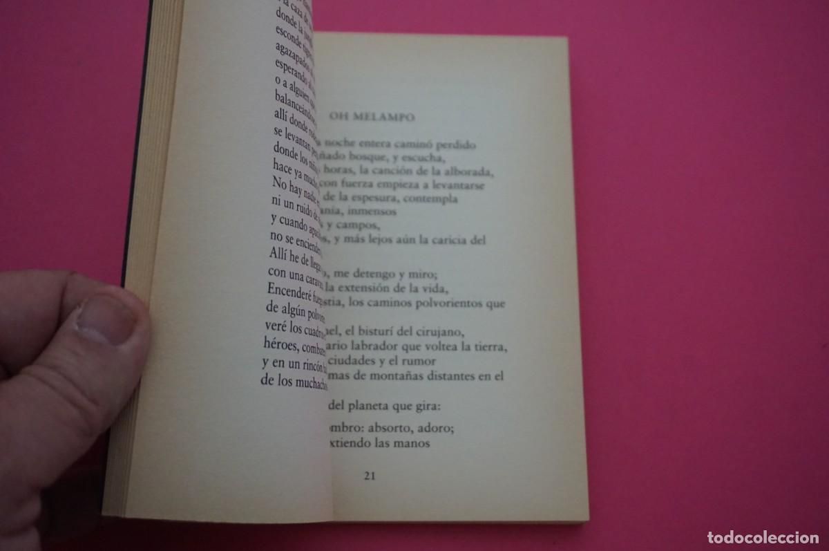 Libros: AMF-17A/ MITOS POESIA - STEVENSON - Foto 4