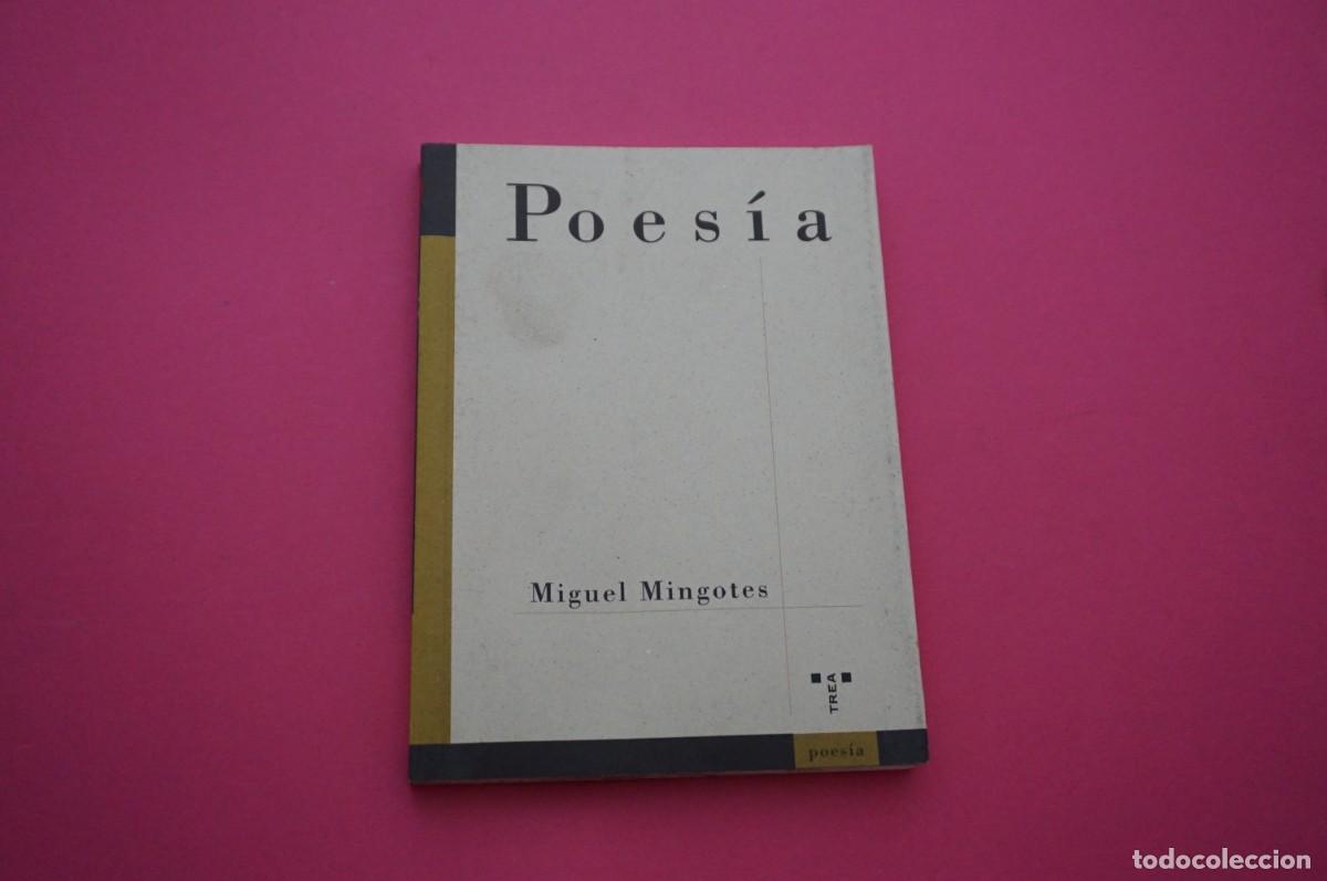 Libros: AMF-18B/ POESIA - MIGUEL MINGOTES / EDICIONES TREA - Foto 1