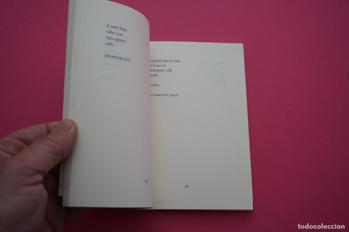 Libros: AMF-18B/ POESIA - MIGUEL MINGOTES / EDICIONES TREA - Foto 3