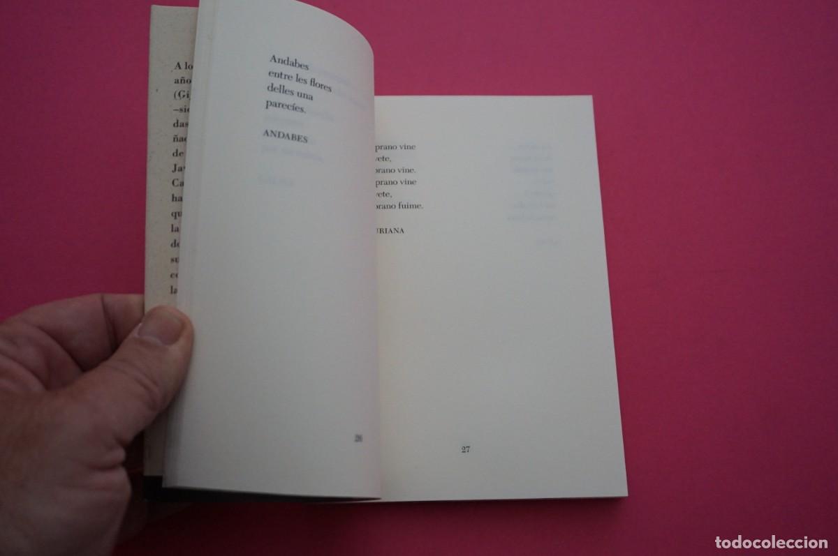 Libros: AMF-18B/ POESIA - MIGUEL MINGOTES / EDICIONES TREA - Foto 4