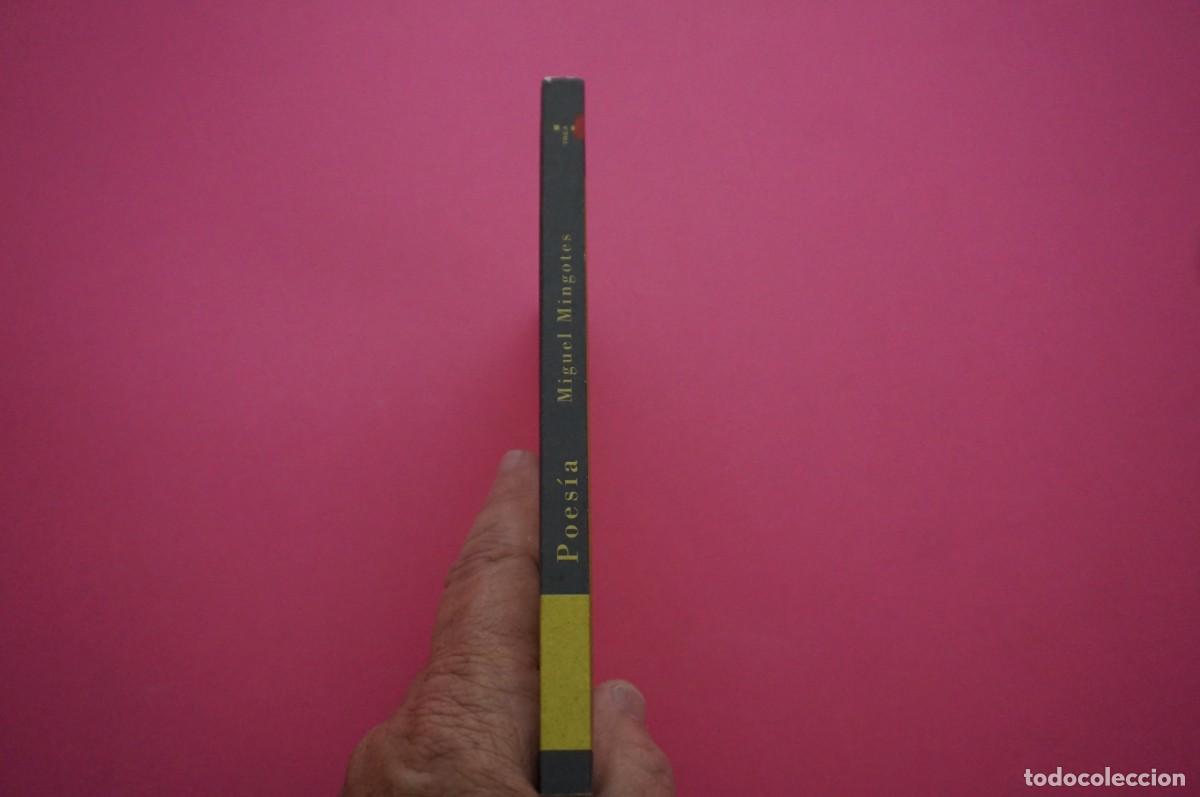 Libros: AMF-18B/ POESIA - MIGUEL MINGOTES / EDICIONES TREA - Foto 6