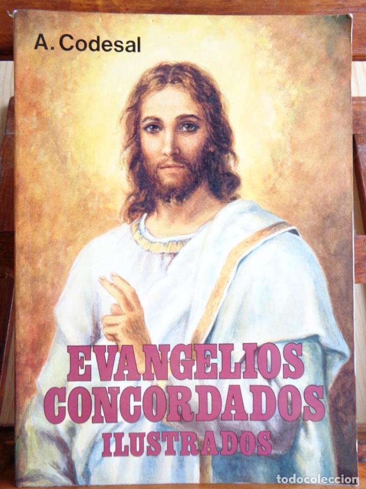 Libros: EVANGELIOS CONCORDADOS ILUSTRADOS - A. CODESAL MART&Iacute;N - Foto 1