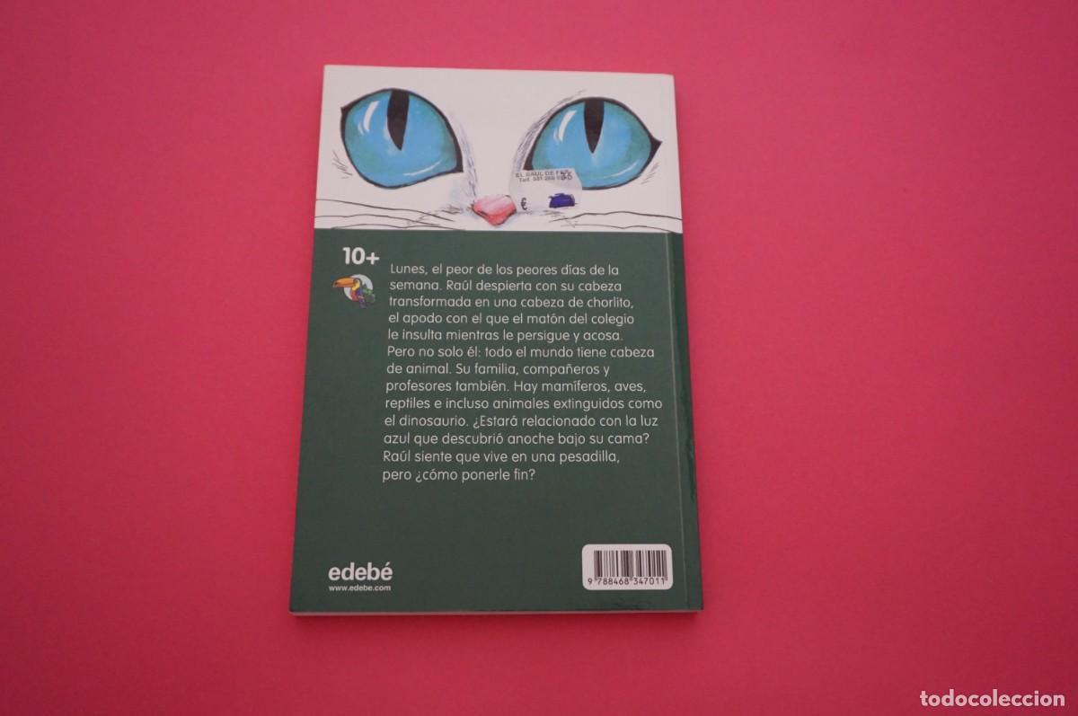 Libros: AMF-15B/ RAUL Y LA LUZ AZUL - PEDRO RAMOS / EDEBE EDITORIAL - Foto 6