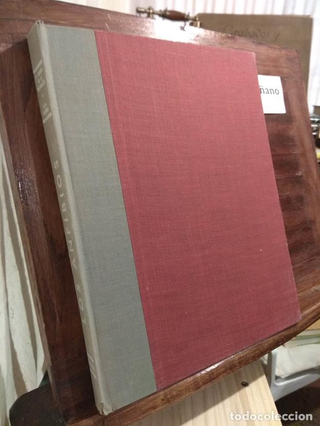 Libros: Los anfibios - Foto 1