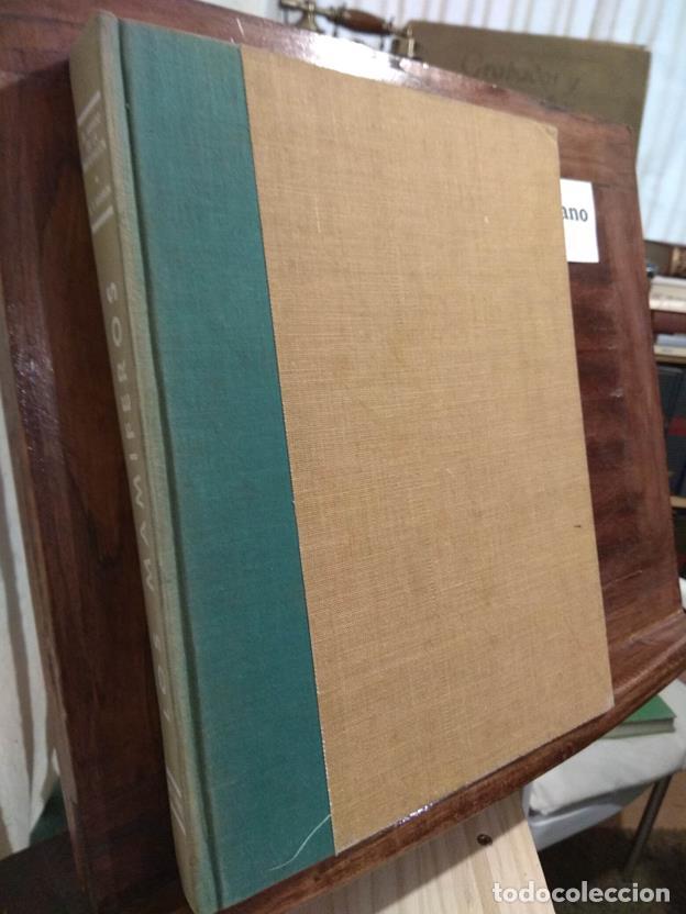 Libros: Los mamiferos - Foto 1