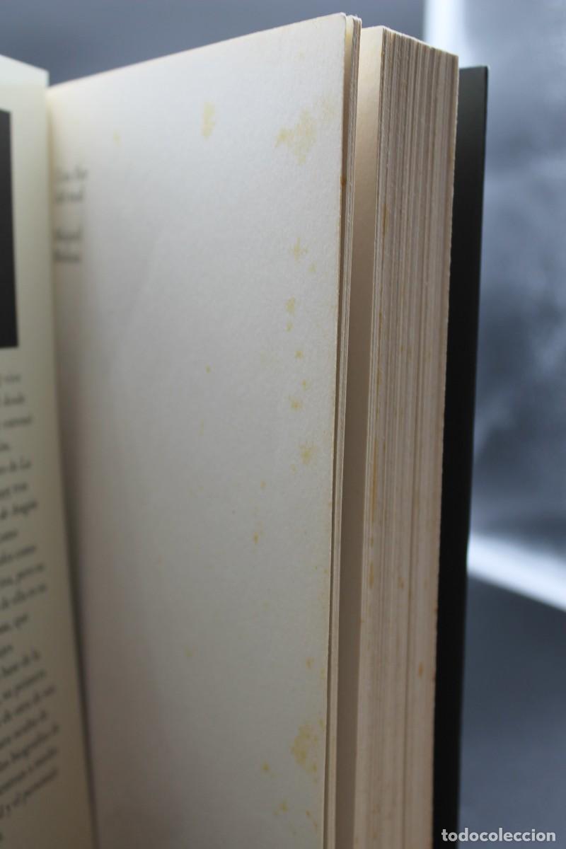 Libros: UNA FLOR DEL MAL MIQUEL MOLINA PRIMERA EDICI&Oacute;N MARZO 2014 - Foto 3