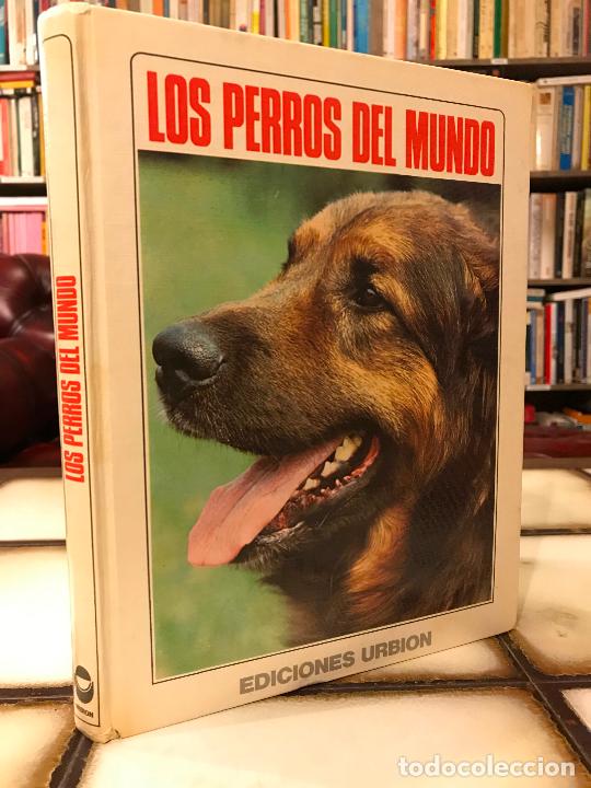 Libros: Los perros del mundo. Ediciones Urbi&oacute;n. PEDIDO M&Iacute;NIMO 5&euro; - Foto 1