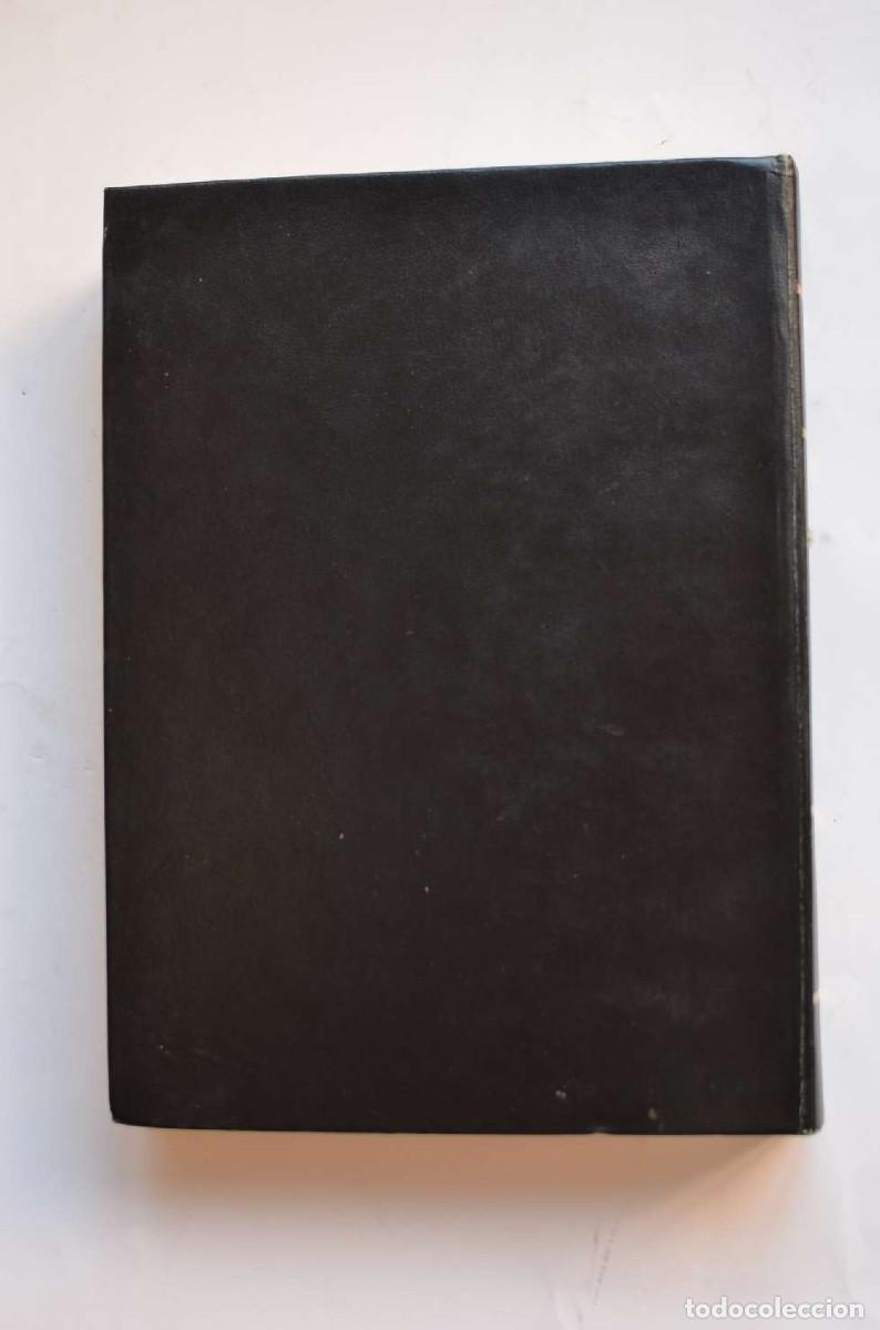 Libros: Diccionario b&aacute;sico jur&iacute;dico - AUTORES VARIOS - Foto 4