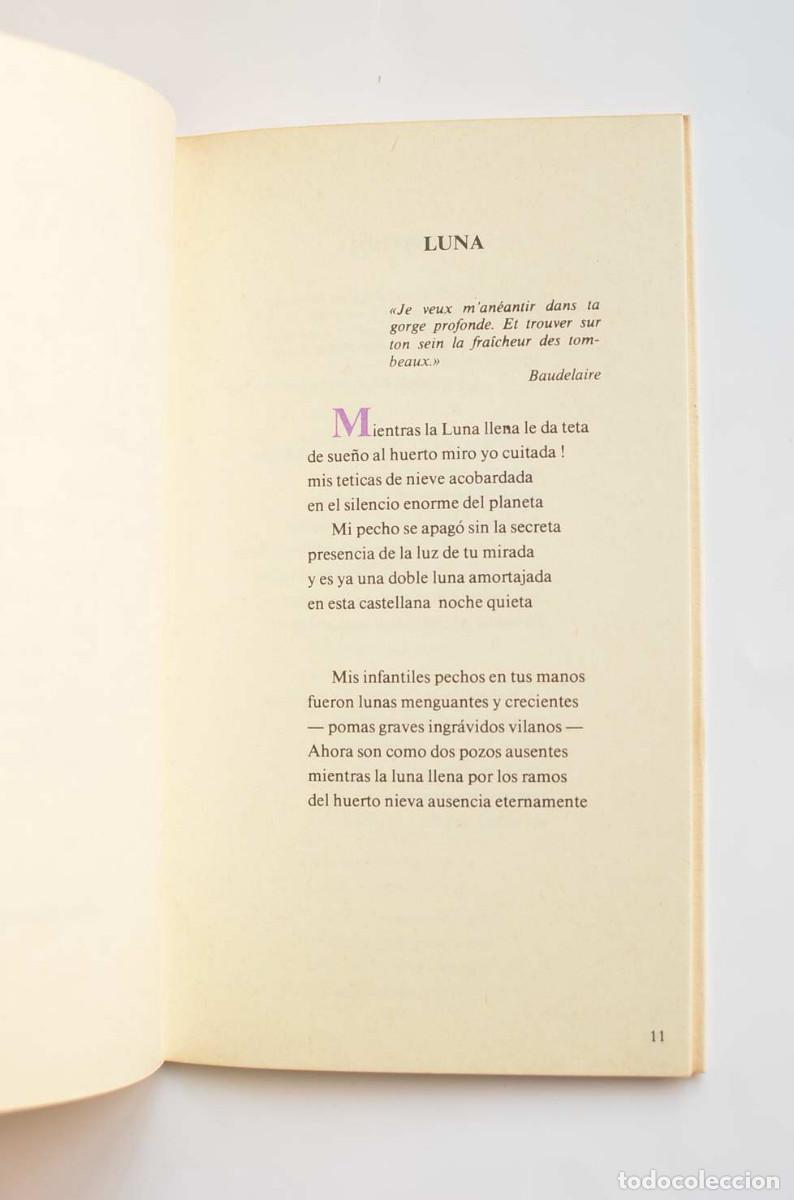 Libros: Cosas que ignora Don Juan - BENAVIDES, Pedro - Foto 3