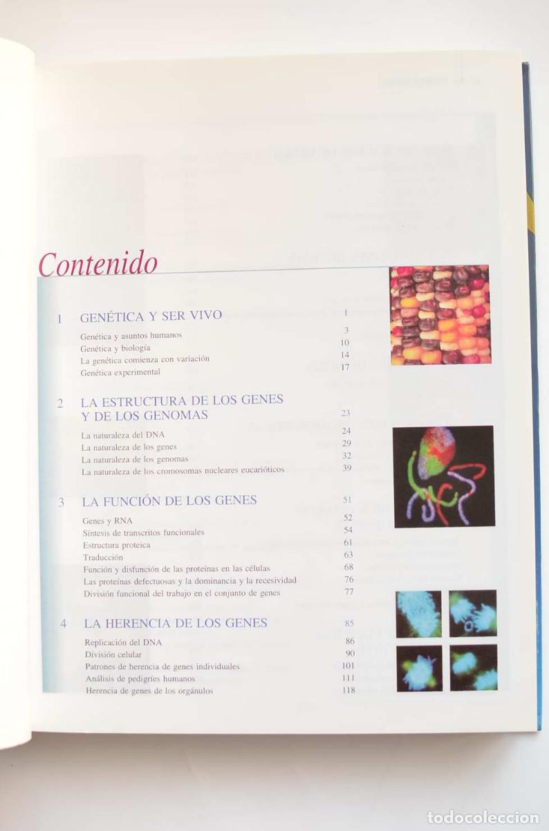 Libros: Gen&eacute;tica moderna - AUTORES VARIOS - Foto 3