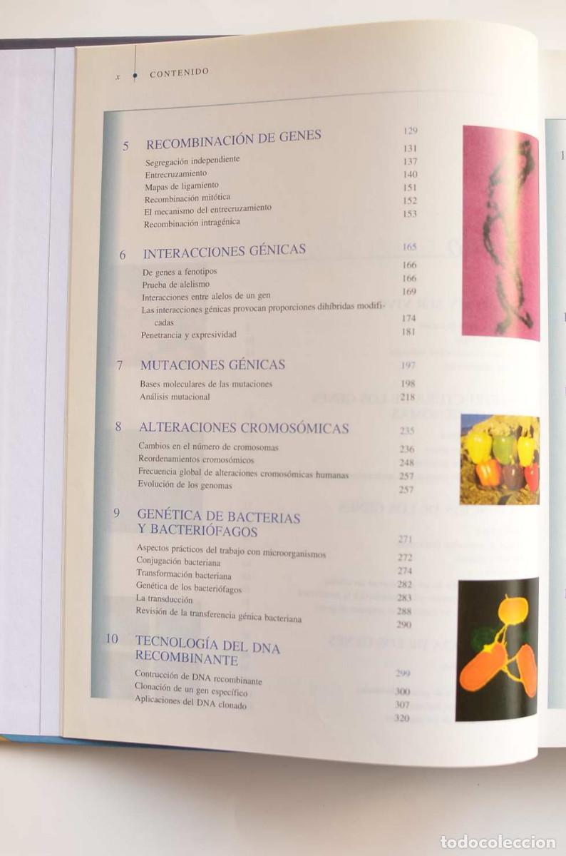 Libros: Gen&eacute;tica moderna - AUTORES VARIOS - Foto 4