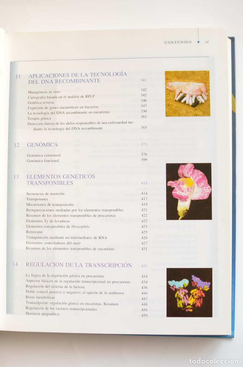 Libros: Gen&eacute;tica moderna - AUTORES VARIOS - Foto 5