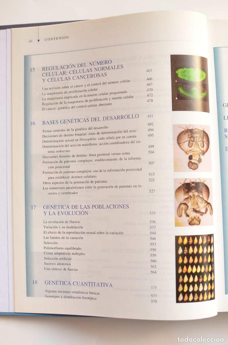 Libros: Gen&eacute;tica moderna - AUTORES VARIOS - Foto 6