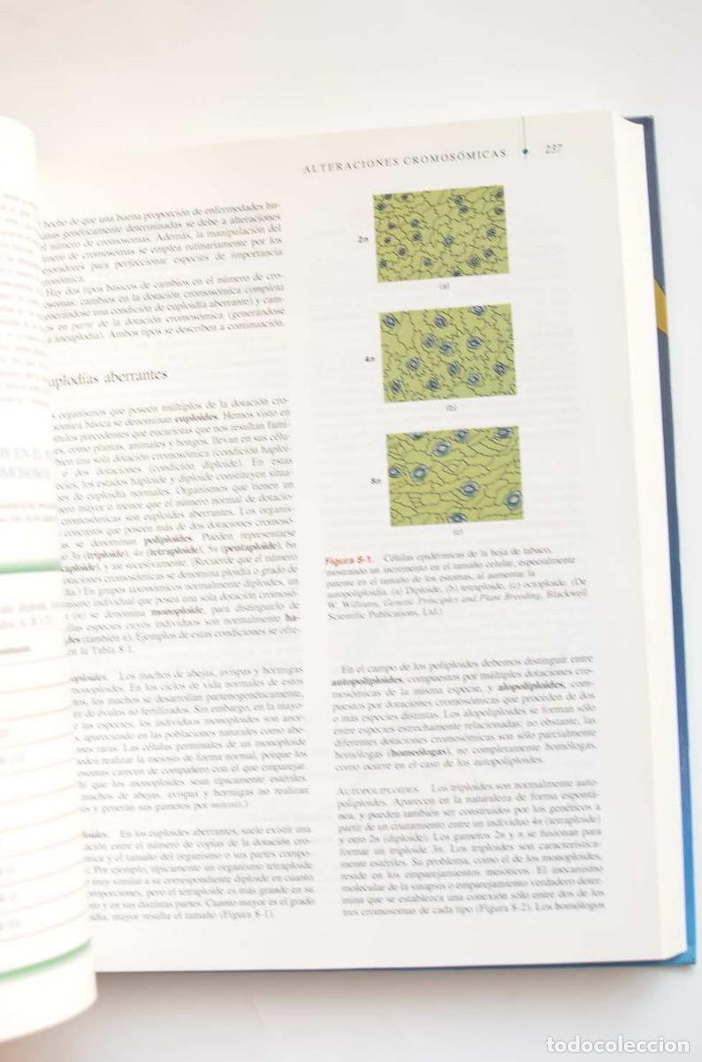 Libros: Gen&eacute;tica moderna - AUTORES VARIOS - Foto 8