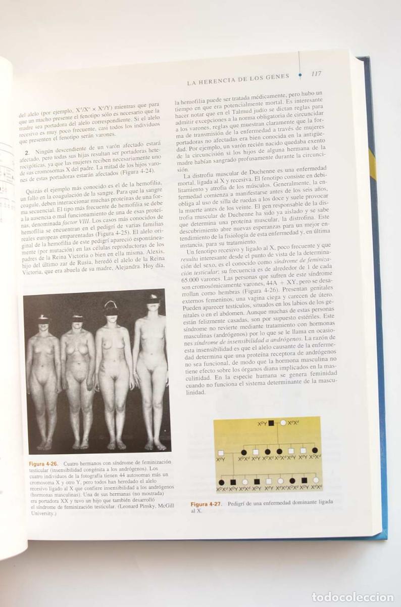Libros: Gen&eacute;tica moderna - AUTORES VARIOS - Foto 9