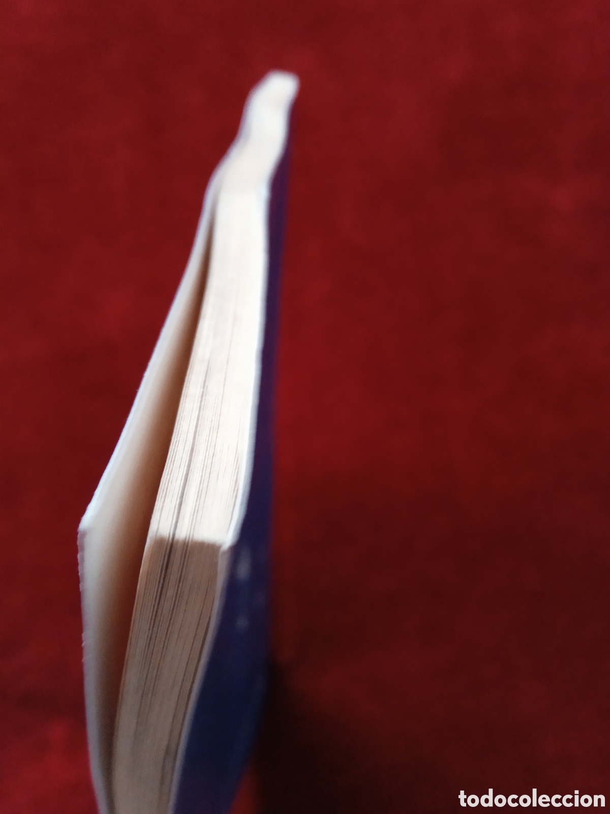 Libros: RAFI Inocente o culpable? Garbo. - Foto 7