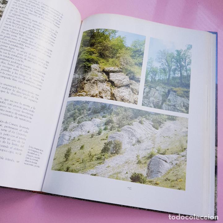 Libros: LIBRO-PARA&Iacute;SOS DE LA NATURALEZA-CASTILLA Y LE&Oacute;N-NUEVO - Foto 20