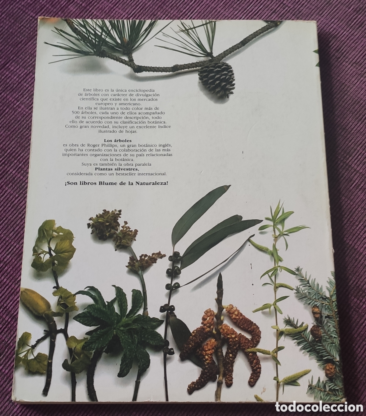 Libros: Los &aacute;rboles. Roger Phillips - Foto 2
