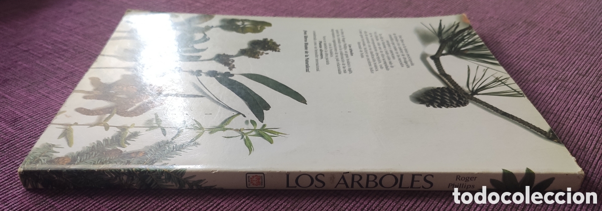 Libros: Los &aacute;rboles. Roger Phillips - Foto 3