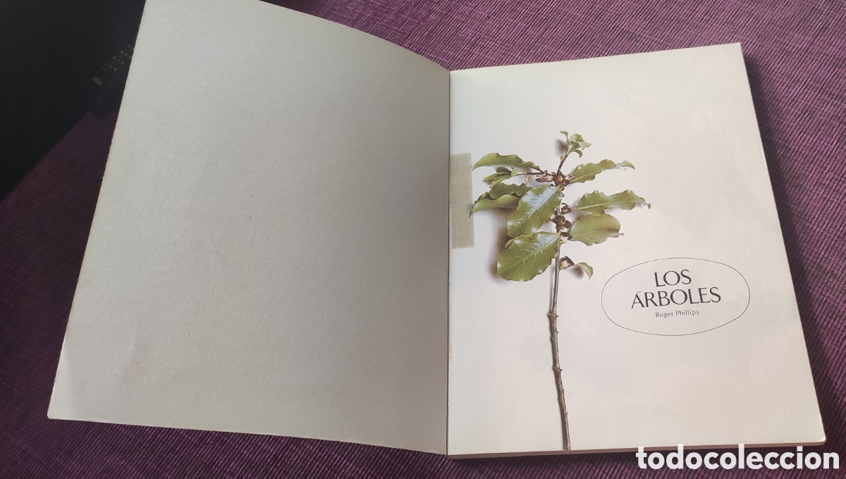Libros: Los &aacute;rboles. Roger Phillips - Foto 4