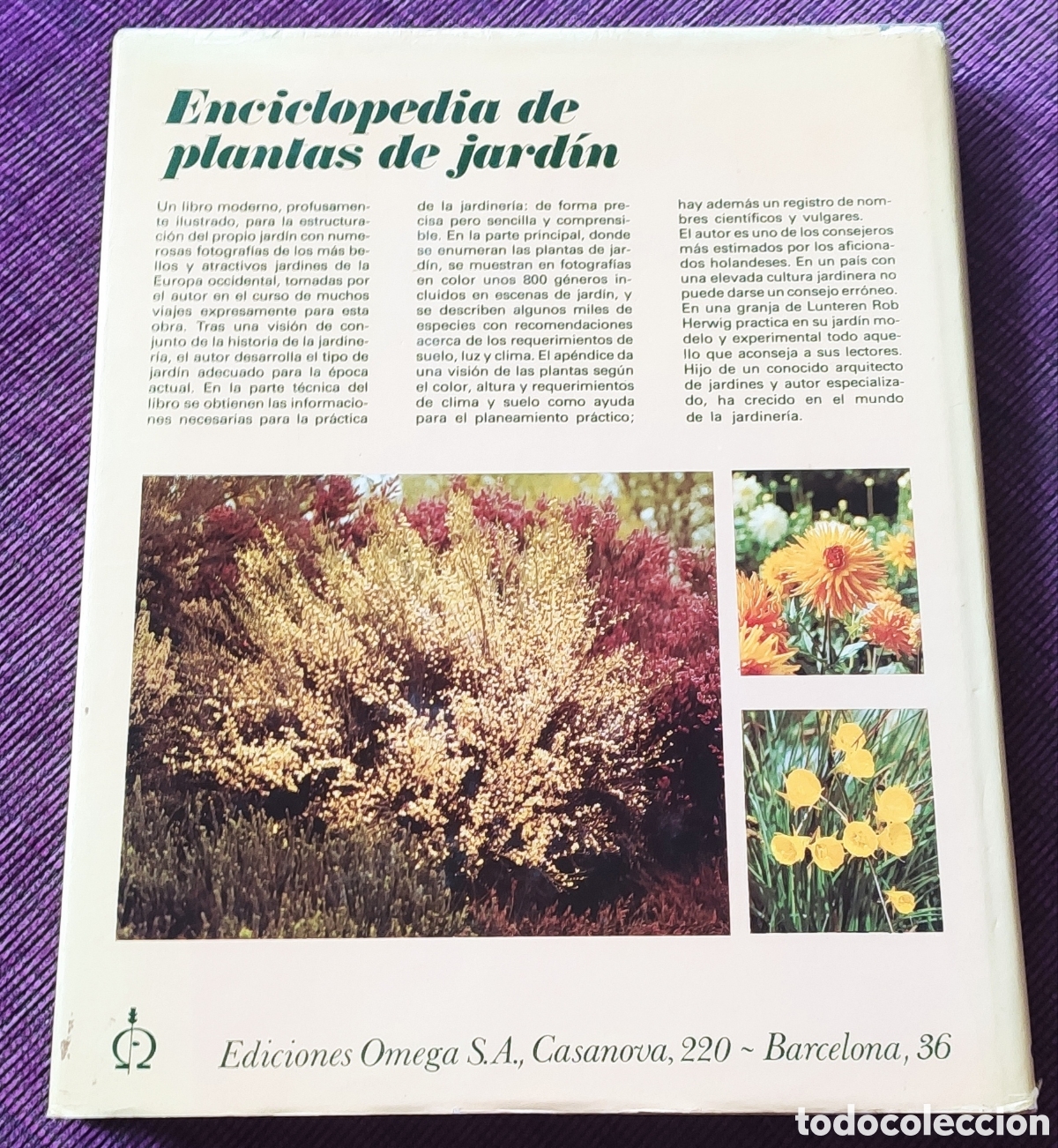 Libros: Enciclopedia de plantas de jardin. Omega - Foto 2