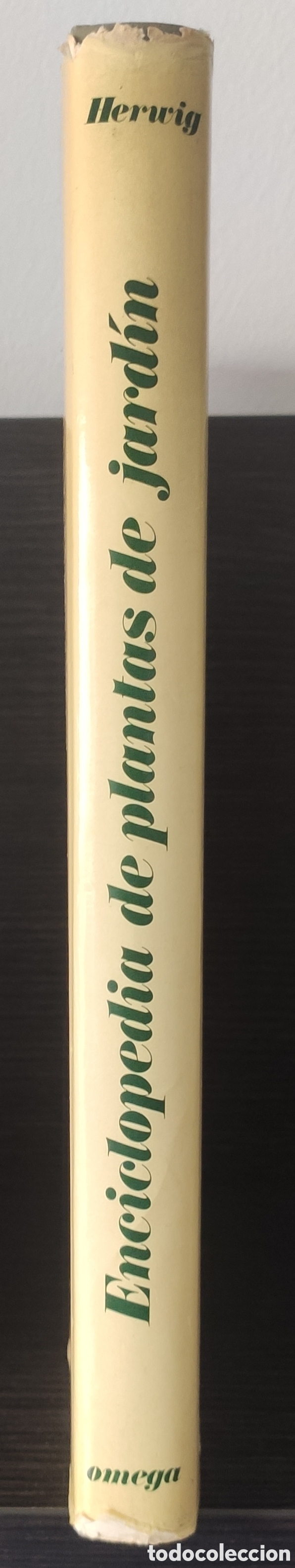 Libros: Enciclopedia de plantas de jardin. Omega - Foto 3