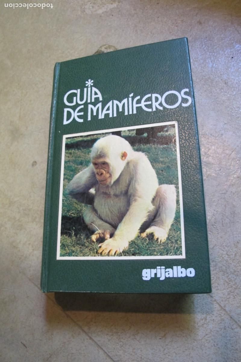 Libros: GUIA DE MAMIFEROS. GRIJALBO - Foto 1