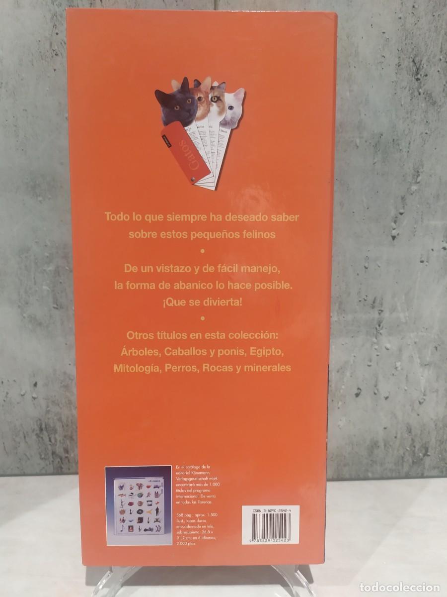 Libros: GATOS, RAZAS, CUIDADO, CARACTERISTICAS - Foto 3