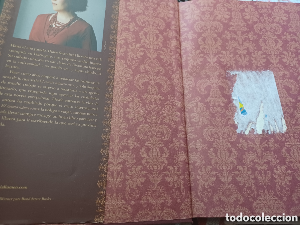 Libros: Barybook C52 El cuento n&uacute;mero trece 13 Diane Setterfield - Foto 2
