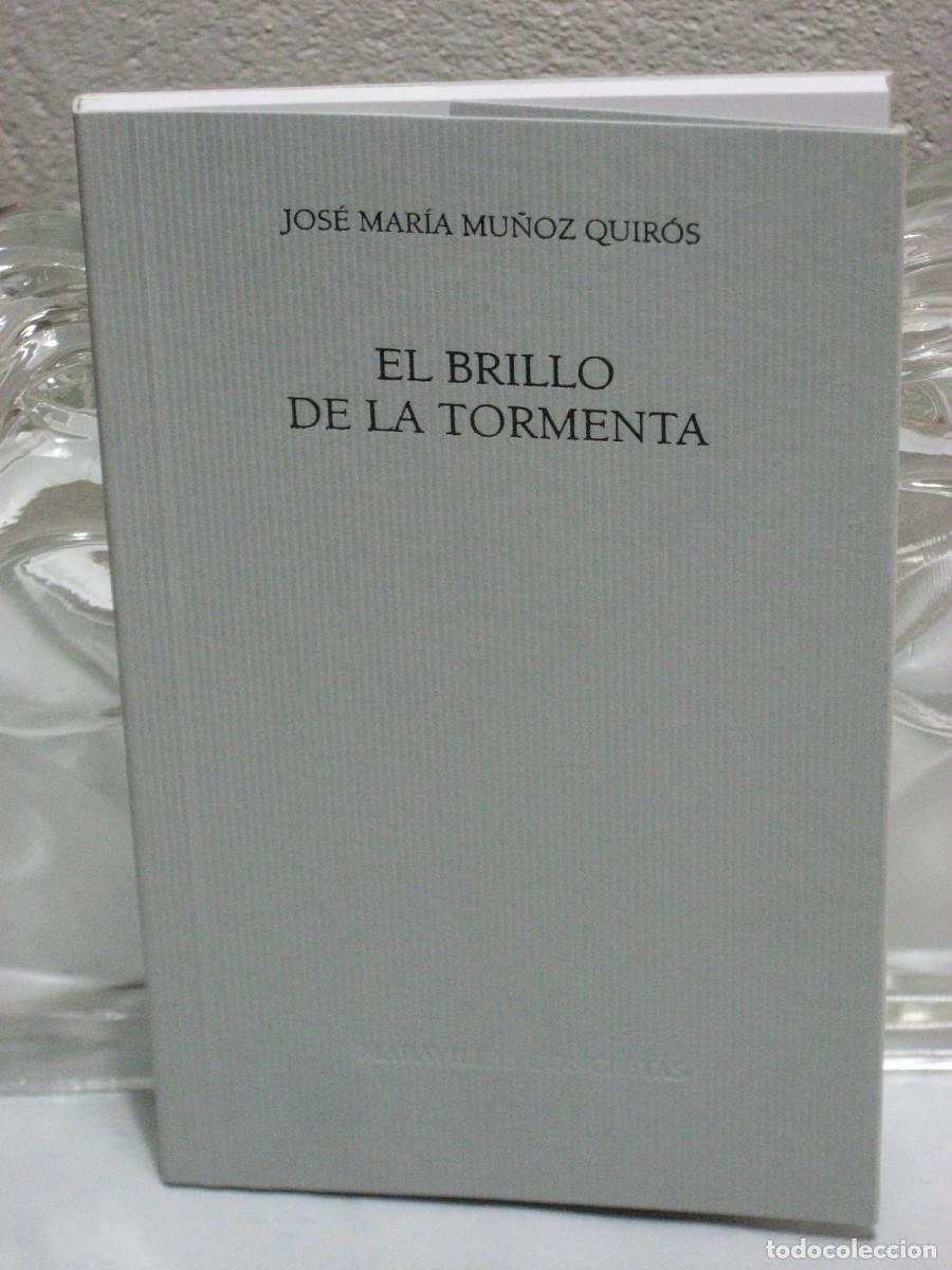 Libros: EL BRILLO DE LA TORMENTA - Jos&eacute; Mar&iacute;a Mu&ntilde;oz Quir&oacute;s - Foto 1