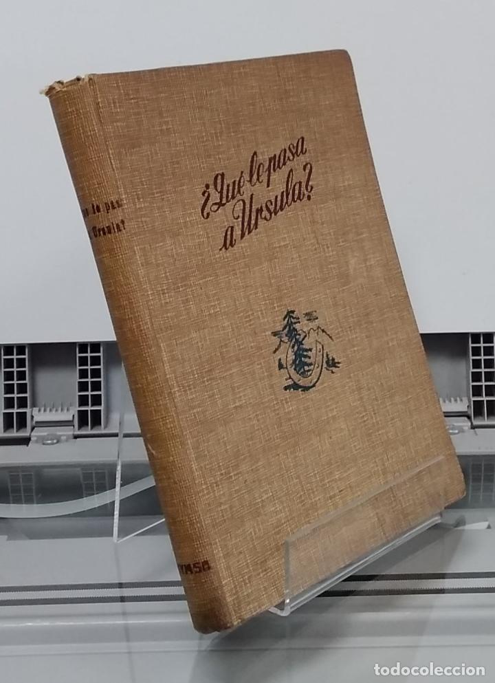 Libros: &iquest;Qu&eacute; le pasa a &Uacute;rsula? (primera edici&oacute;n) - Elsa M. Hinzelmann - Foto 1