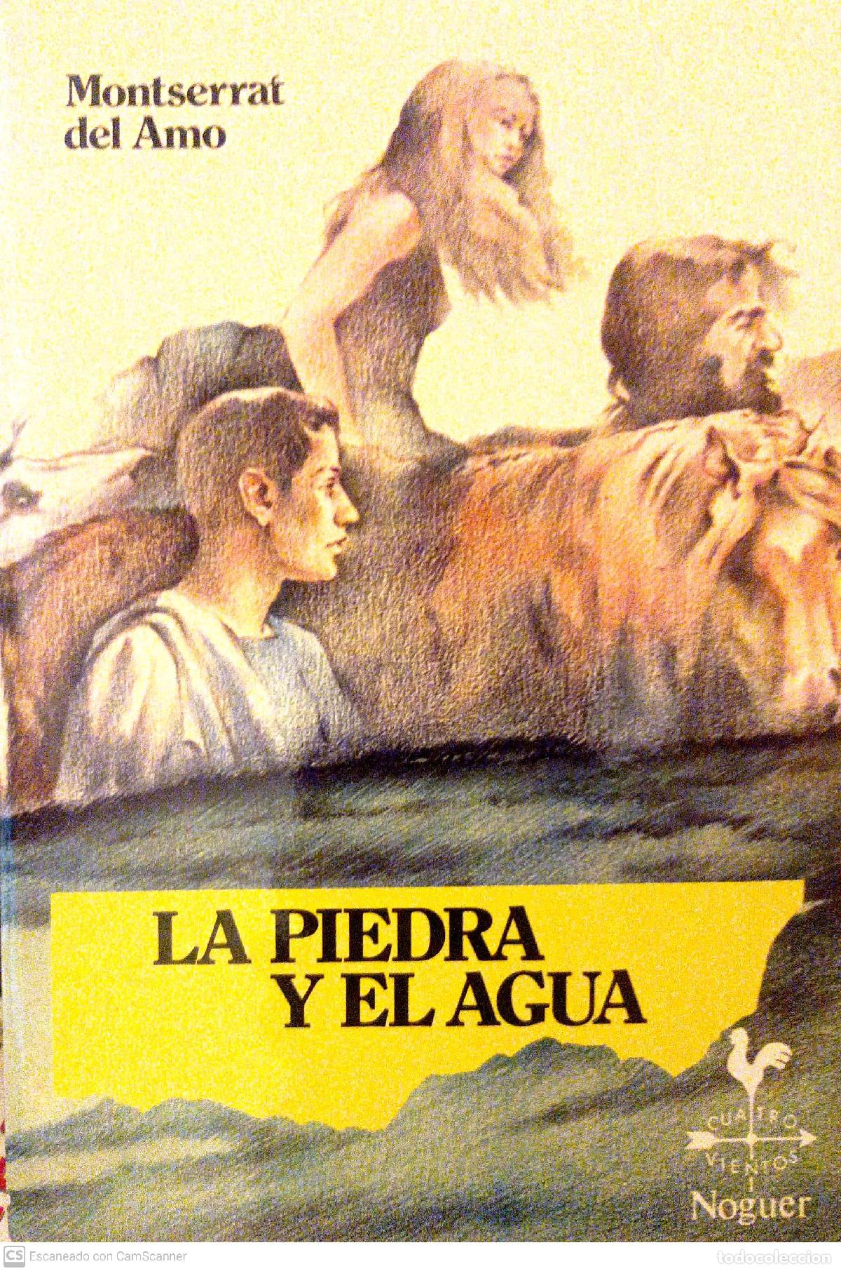 Libros: La piedra y el agua - Amo, Monserrat del - Foto 1