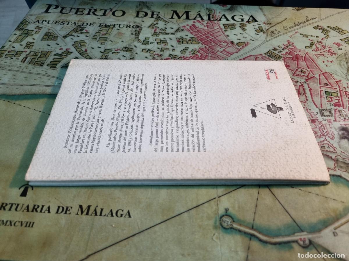 Libros: ANIMALACCIO (Roberto Echavarren) - Foto 2