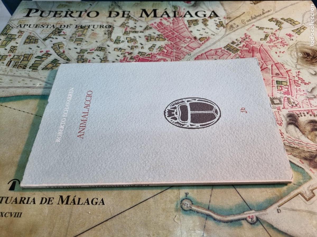 Libros: ANIMALACCIO (Roberto Echavarren) - Foto 1