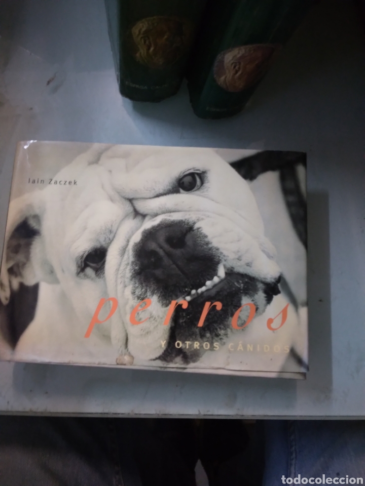 Libros: Perros y otros canidos, Iain Zaczek - Foto 1
