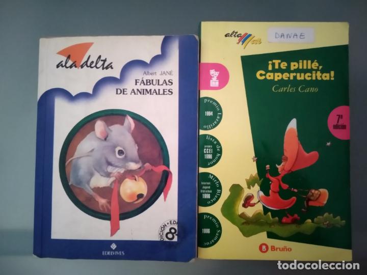 Libros: DOS LIBROS JUVENILES