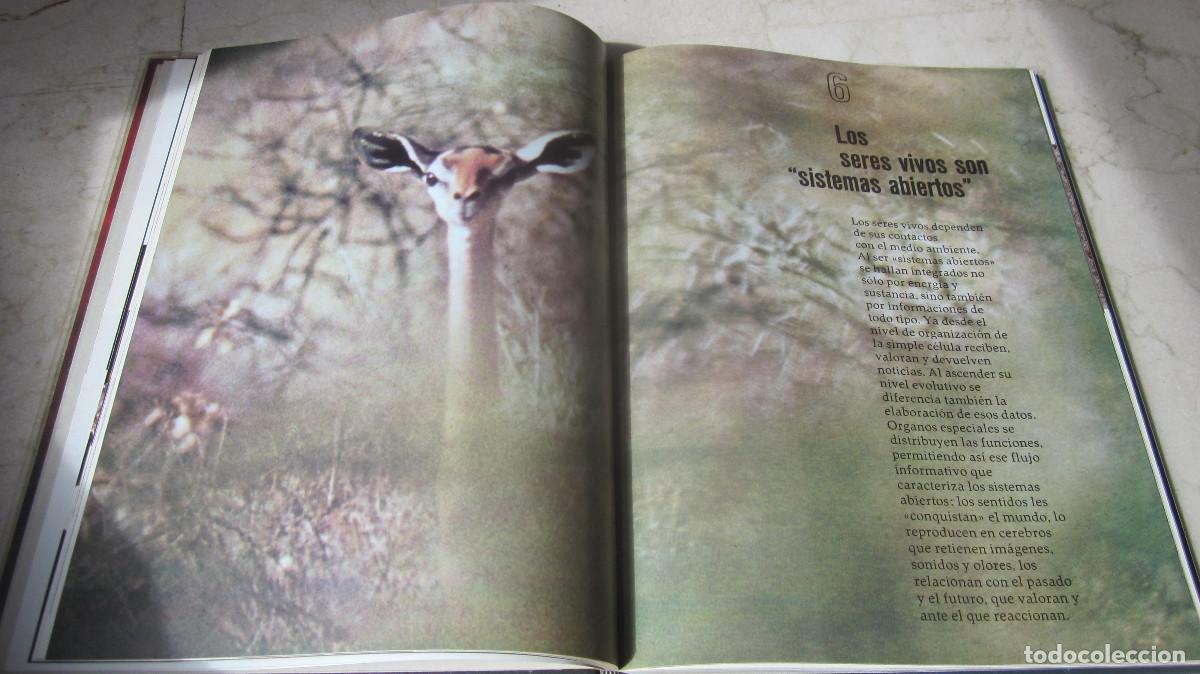 Libros: LA VIDA - ENTRE EL NACIMIENTO Y LA MUERTE - CIRCULO DE LECTORES 1973 - Foto 2