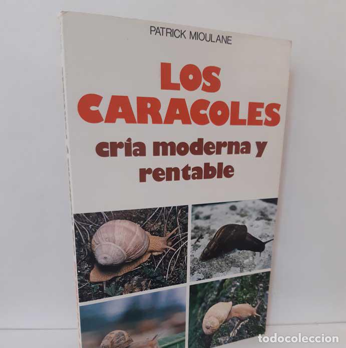 Libros: LOS CARACOLES, CR&Iacute;A MODERNA Y RENTABLE - MIOULANE, PATRICK - Foto 1
