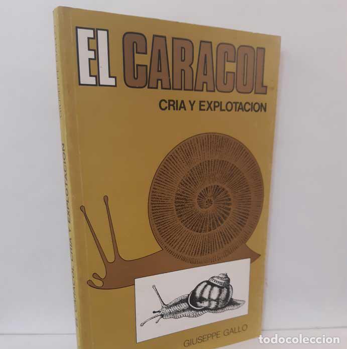 Libros: EL CARACOL, CR&Iacute;A Y EXPLOTACI&Oacute;N - GALLO, GIUSEPPE - Foto 1